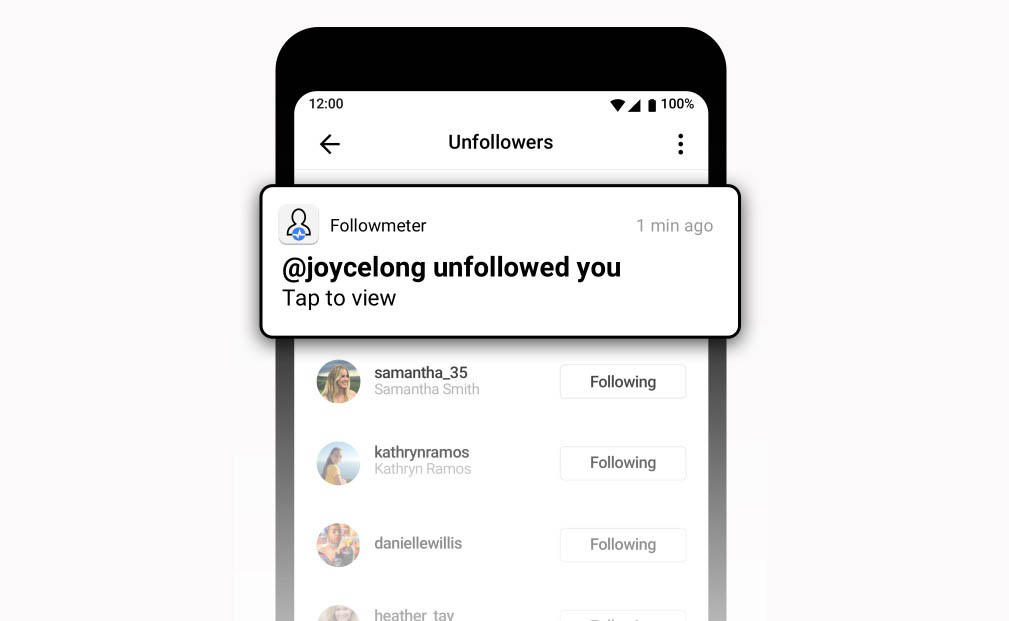 Apa-Itu-Followmeter-dan-Mengapa-Penting-untuk-Instagram